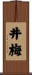 井梅 Scroll