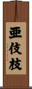 亜伎枝 Scroll