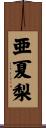 亜夏梨 Scroll