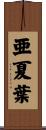 亜夏葉 Scroll