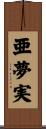 亜夢実 Scroll