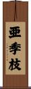 亜季枝 Scroll