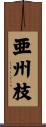 亜州枝 Scroll