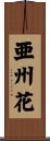 亜州花 Scroll