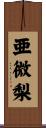 亜微梨 Scroll