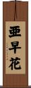 亜早花 Scroll