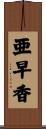 亜早香 Scroll