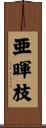 亜暉枝 Scroll