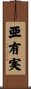 亜有実 Scroll