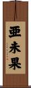亜未果 Scroll