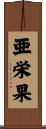 亜栄果 Scroll