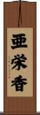 亜栄香 Scroll