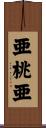 亜桃亜 Scroll