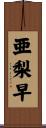 亜梨早 Scroll