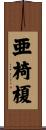 亜椅榎 Scroll