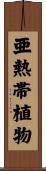 亜熱帯植物 Scroll