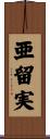 亜留実 Scroll