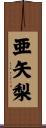 亜矢梨 Scroll