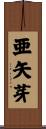 亜矢芽 Scroll