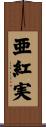亜紅実 Scroll