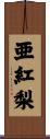 亜紅梨 Scroll