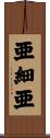 Asia / Asian Continent Scroll