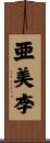 亜美李 Scroll