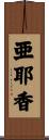 亜耶香 Scroll