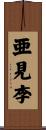 亜見李 Scroll