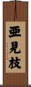 亜見枝 Scroll