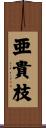 亜貴枝 Scroll