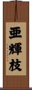 亜輝枝 Scroll