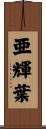 亜輝葉 Scroll