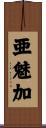 亜魅加 Scroll