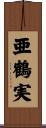 亜鶴実 Scroll