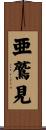 亜鷲見 Scroll