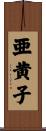 亜黄子 Scroll
