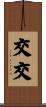 交交 Scroll