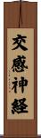 交感神経 Scroll
