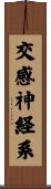 交感神経系 Scroll
