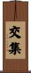 交集 Scroll