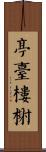 亭臺樓榭 Scroll