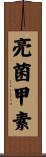 亮菌甲素 Scroll