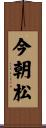 今朝松 Scroll