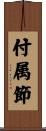 付属節 Scroll