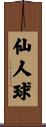 仙人球 Scroll