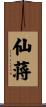仙蒋 Scroll