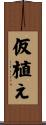 仮植え Scroll