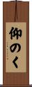仰のく Scroll