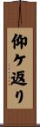 仰ケ返り Scroll